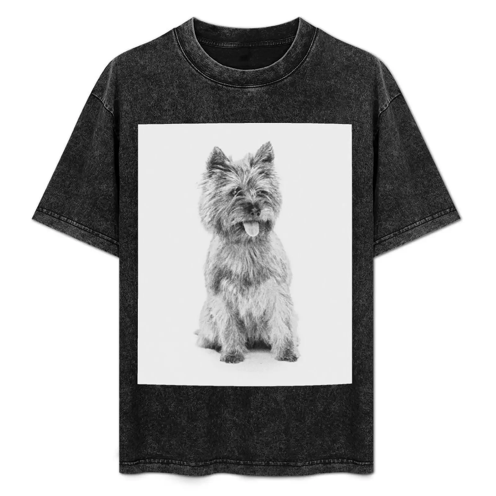 

Cairn Terrier - 3a T-Shirt new edition quick-drying vintage clothes valentines clothes tshirts for men