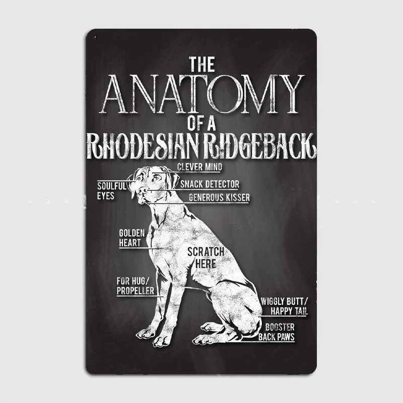 

Rhodesian Ridgeback Anatom Metal Sign Mural Painting Cinema Living Room Cinema Funny Tin Sign Poster