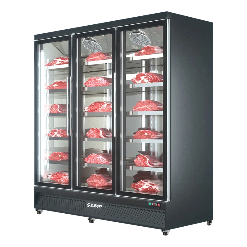 Plus freezer display cabinet, commercial meat beef cabinet, glass ice cream, standing freezer, beverage refrigerator