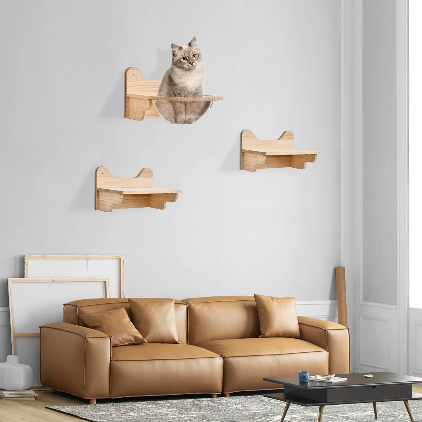 Zestaw łóżka dla kota do montażu na ścianie — sosna/akryl, 1 kapsuła dla kota + 2 platformy do skakania, udźwig 8 kg każda, kapsuła 40 cm dla kotów domowych