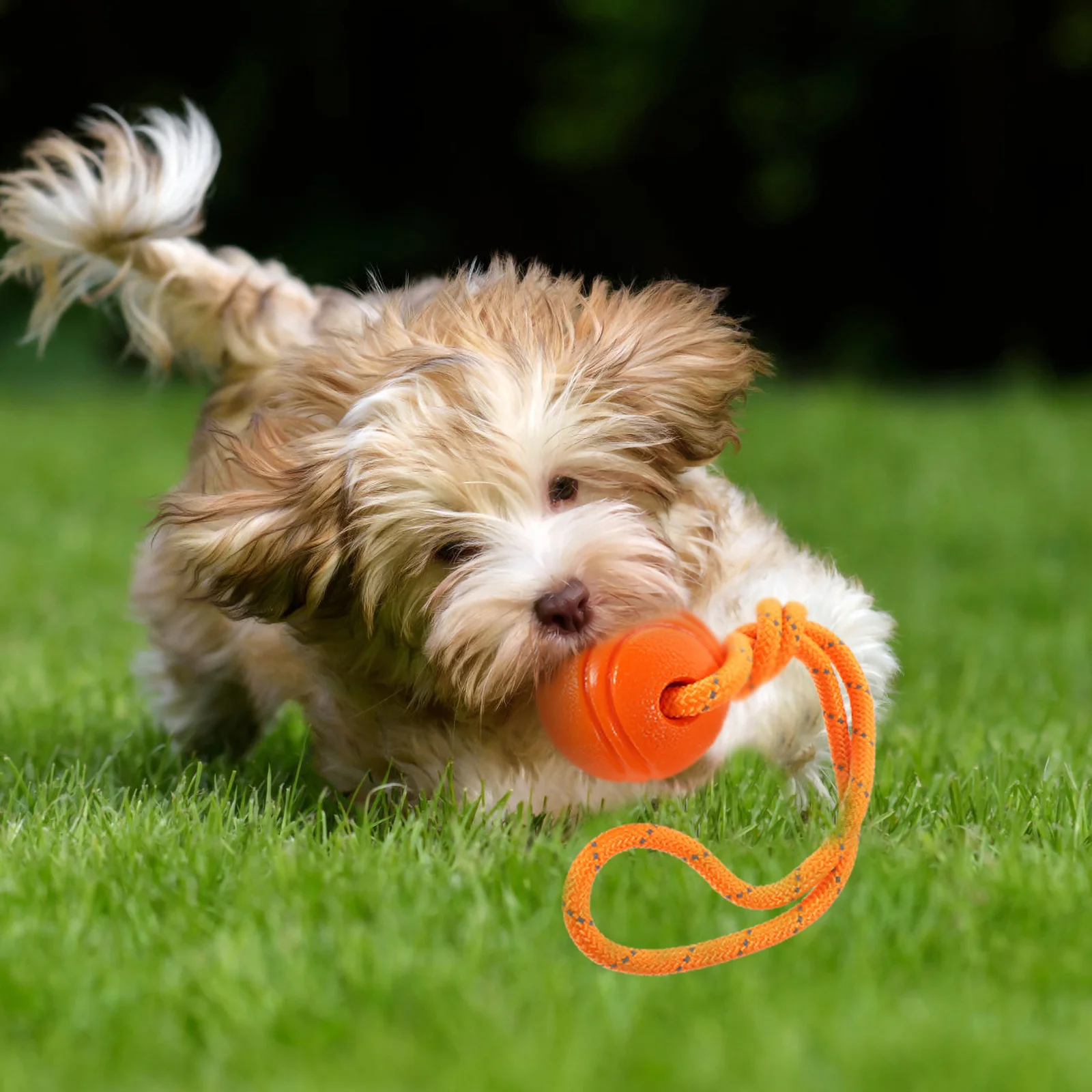 

Durable Interactive Puppy Chewing Ball Household Dog Molar Exercise Pet Chew Accessory Dog Interactive Puppy