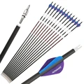6pcs Sp300 Purple