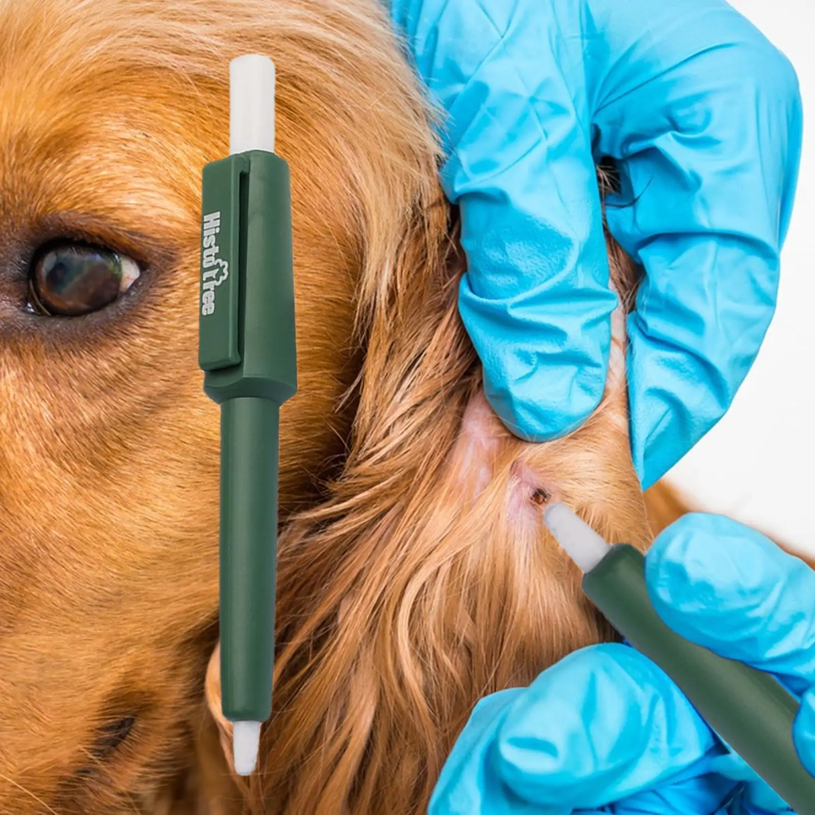 Pet Tick Remover Tool Durable Family Pet Flea Control Waterproof Portable Rustproof Tick Removal Pen For Cat Dog And Humans