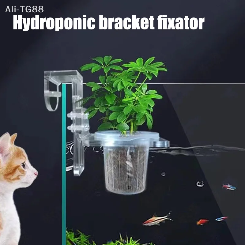 Hanging Aquarium Pl…