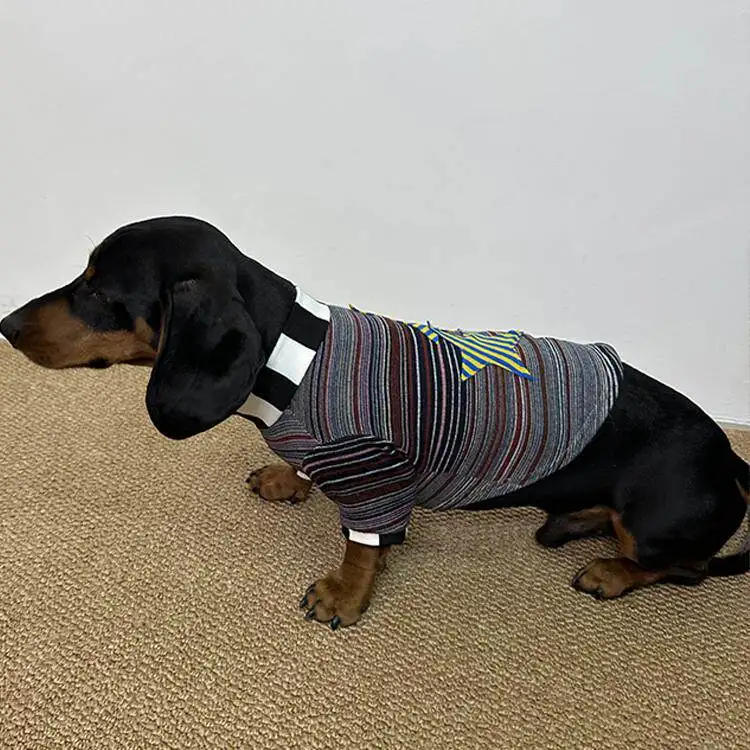 Personalized Striped Star Print Street Trendy Cool Style Striped Pet Vest Summer Thin Pet Kitten Small Dog Clothes