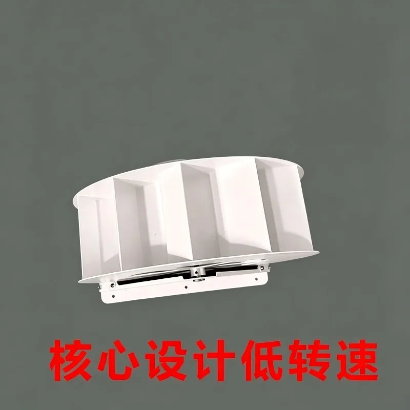 Low Speed Disc Water Turbine Generator Hydro Power Permanent Magnet