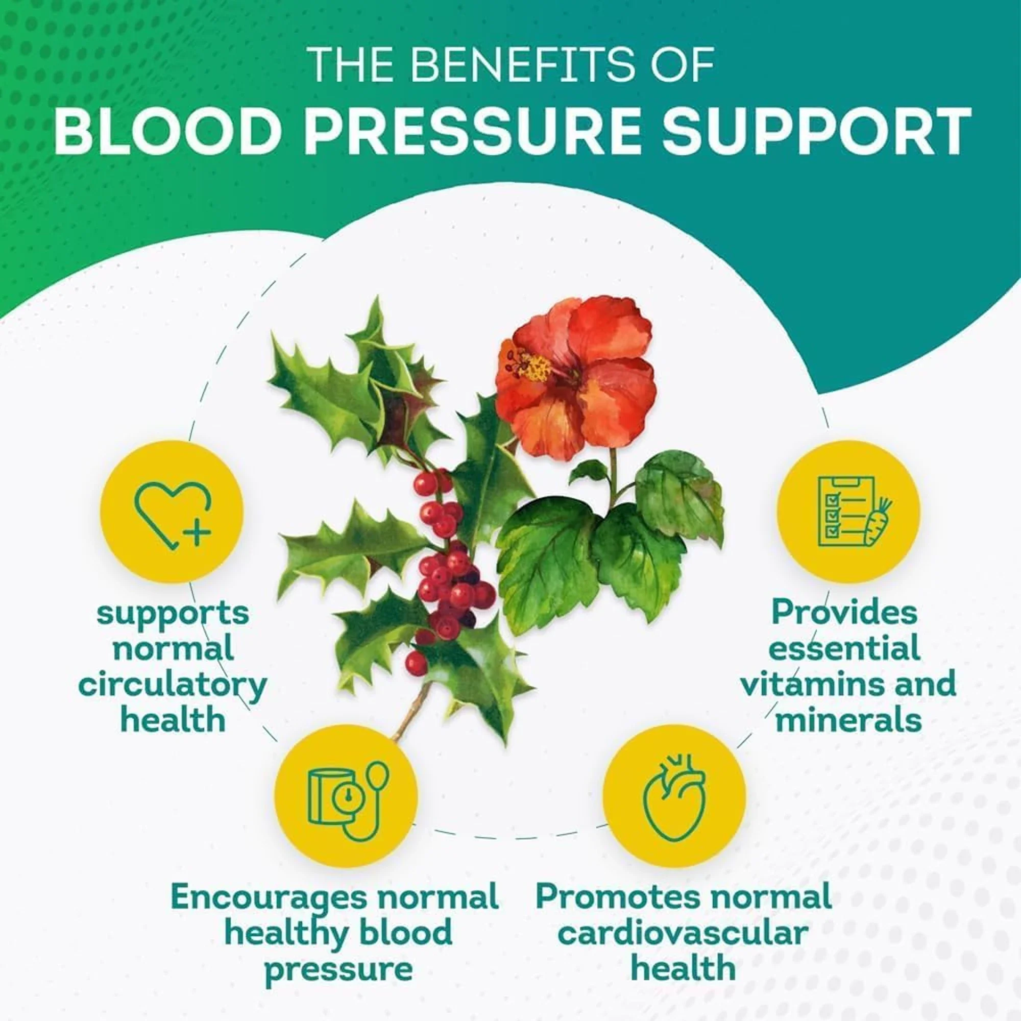 Blood Pressure Support - Balance Blood Pressure, Support Blood Flow, Digestive, Immune System, Improve Heart and Vascular Health