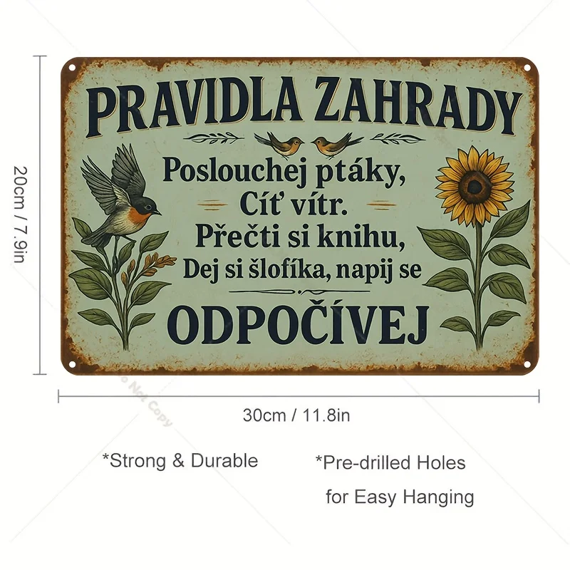 2D Flat,1pc Czech Slogan Vintage TinSign Wall Art  Metal Humorous Quote&Life Advice Sign,Nostalgic Czech Phrase Wall-Mounted