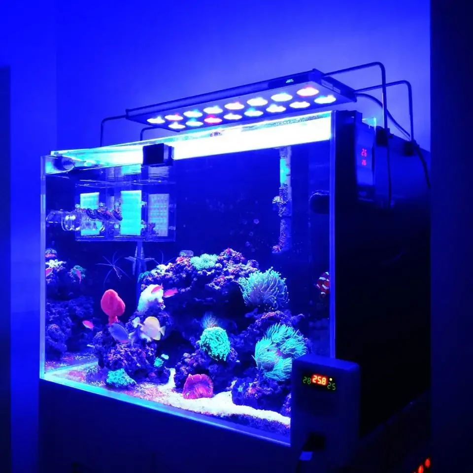 Wifi App 250W Smart Full Spectrum WiFi APP Programmable Saltwater Aquarium Coral Reef LED Light For Aqaurium Lamp