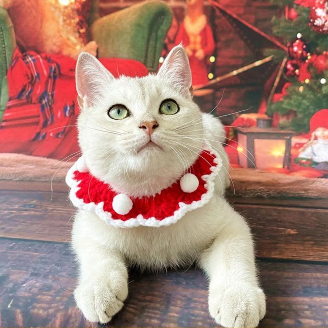 Crochet Collar for Cat, gift for cat,  Handknitted Crochet Cat Collar made in Vietnam HOANG LINH SG Kimy +84938616690