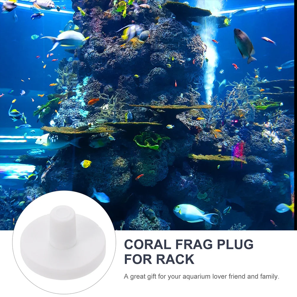 4 قطعة قواعد المرجان السيراميك الشعاب المرجانية خزان التوصيل لحوض السمك الديكور المقابس المرجانية السيراميك قواعد الكورالين حوض السمك #5