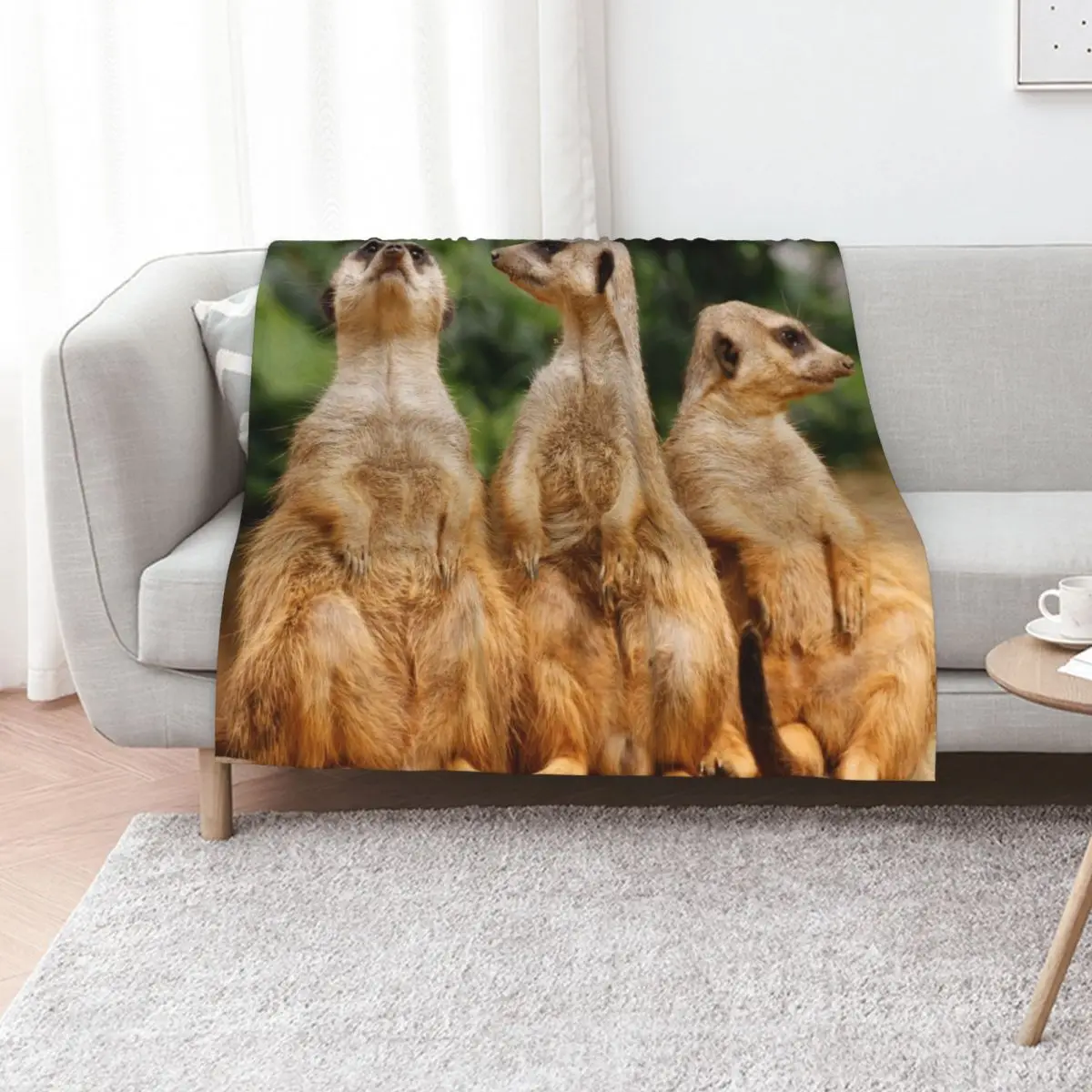 Meerkat 074 Throw Blanket manga bed plaid Summer blankets and throws sofa bed halloween Blankets