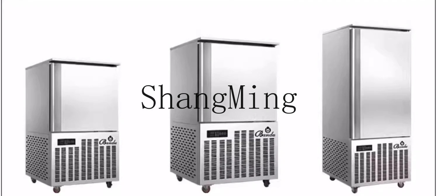 ZYY 業務用急速冷凍庫、シーフードバンズ、餃子、急速冷凍機、冷凍インサート冷凍庫