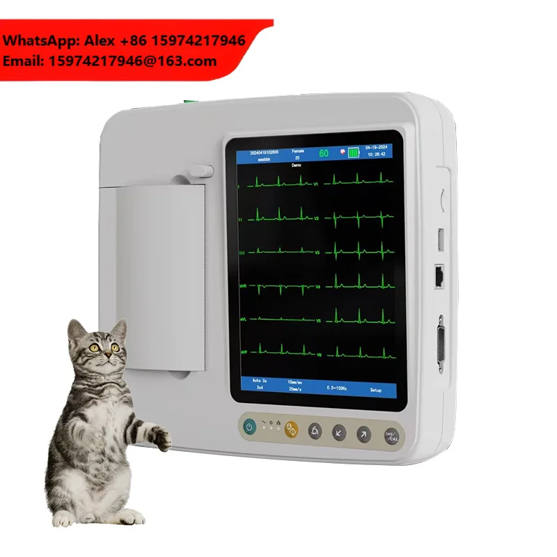 New Pet Vital Signs Monitor Portable Digital Touch Screen 12 Lead 3 Channel Veterinary ECG Machine