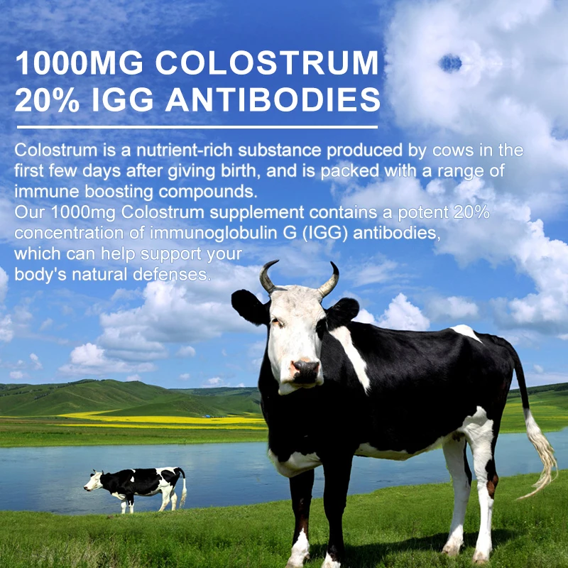 Mulitea Highly Pure Colostrum Supplement is Suitable for Intestinal Health Immune Support Muscle Recovery and Health