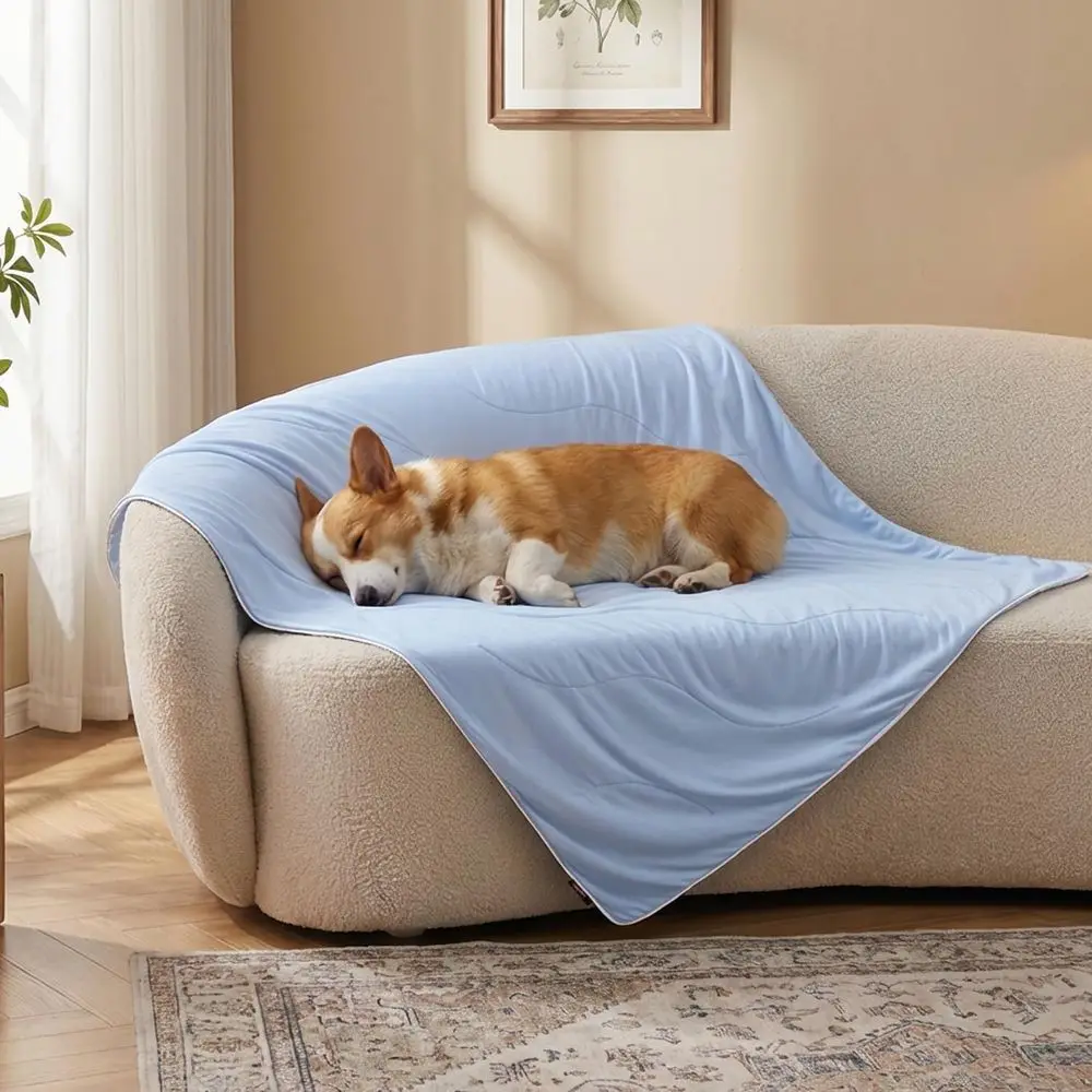 

Breathable Air-Core Cooling Mat for Medium Dogs, Washable, Blue, 30x40