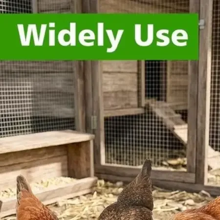 For Chickens Ducks Turkeys Bottomless Dust Bath Chicken Dust Bath Tub For Natural Dust Bathing Lightweight And Firm