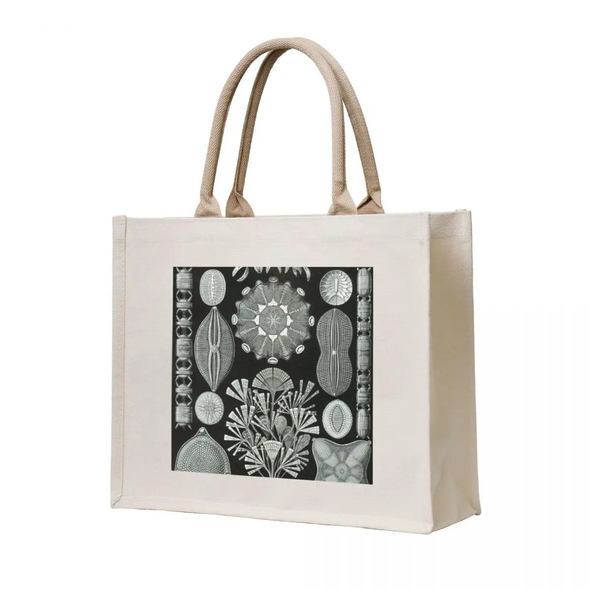 

Haeckel Diatomea Tote Bag Lady bag ecological bags eco pack Canvas stote bag