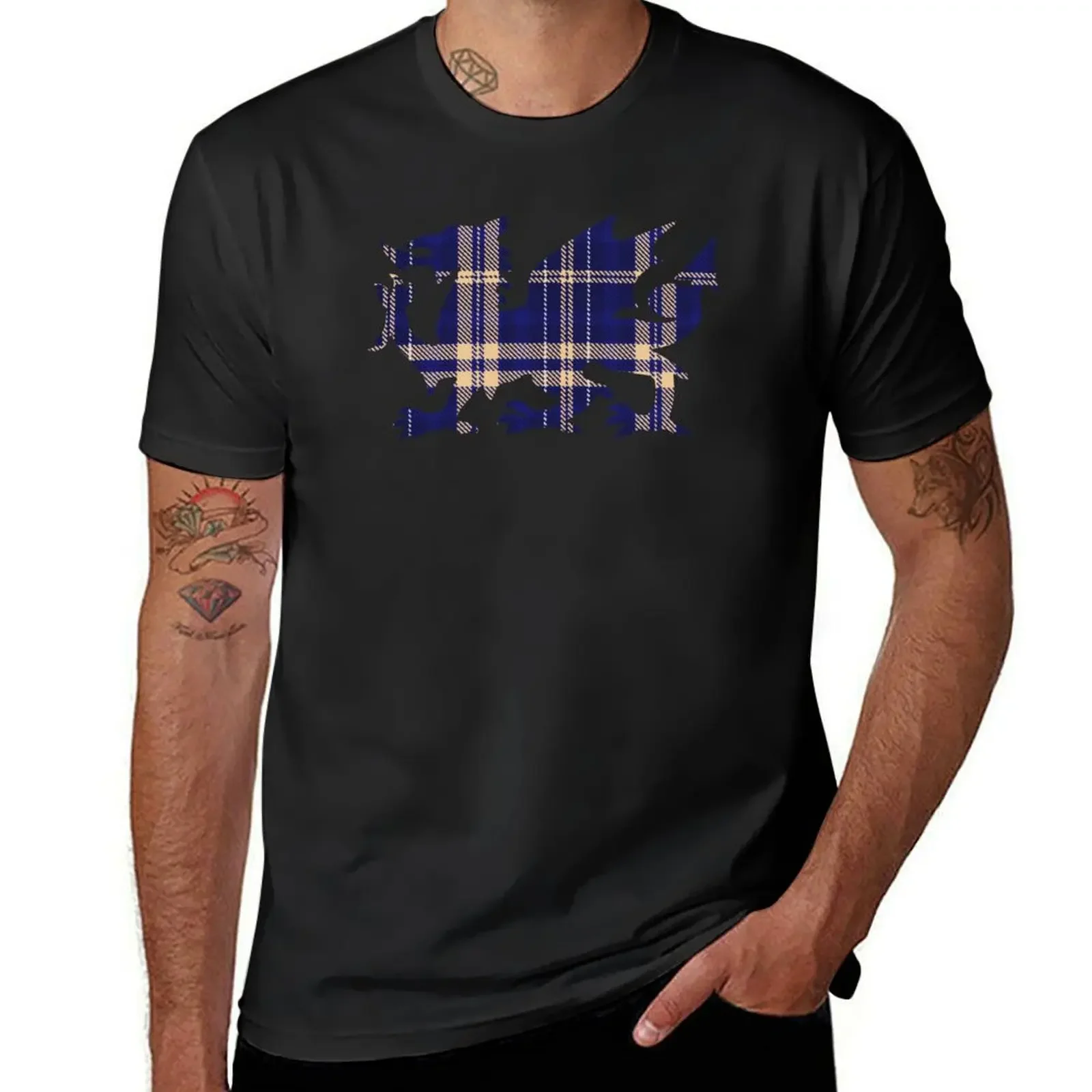 Rees/Rhys Family Welsh Dragon Tartan T-Shirt graphic t shirts kawaii clothes customs plus sizes clothes for men