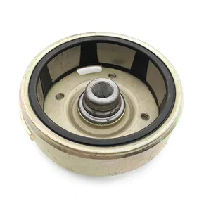 Zwei -Stroke -Dio -Scooter 50 Magneto -Spulen -Stator -Magneto -Rotor für Honda DIO50 DIO 17/18/24/27/28 AT55 Hauptverkauf von Honda Magneto - №4