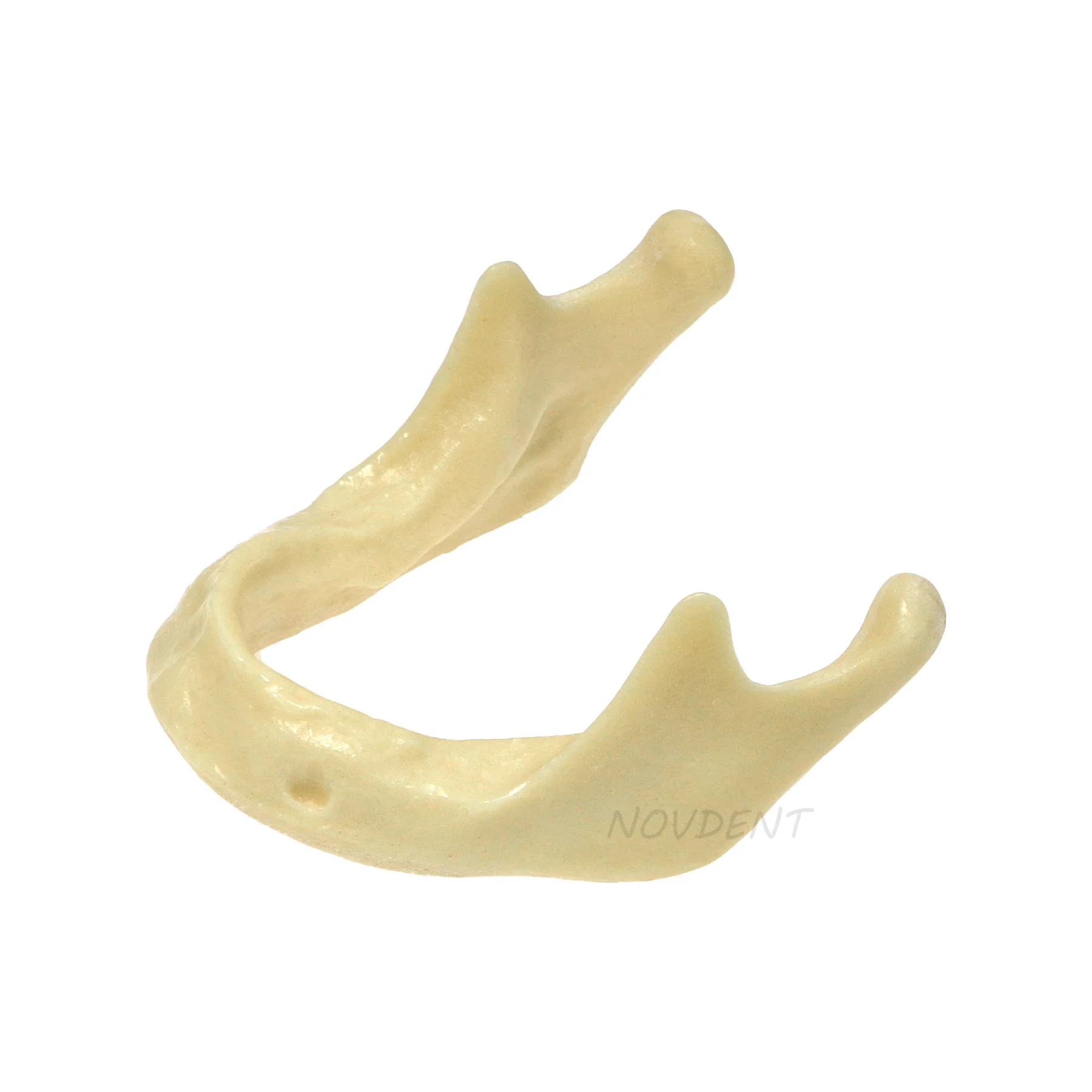 Dental Mandible Jaw Model For Basic Drilling Implant Insertion Practice M2022