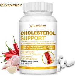 Cholesterol Supplements - Keep Blood Flowing and Promote Cardiovascular Health