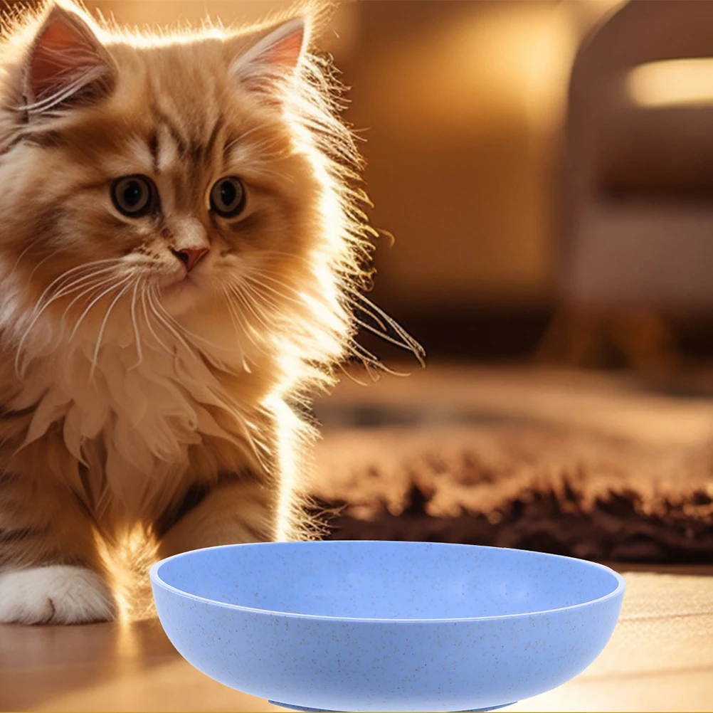 

12Pcs Cat Feeding Bowl Shallow Sturdy Pet Food Dish Small Kitten Bowls Plastic Cat Food Plates Shallow Kitten Bowls Set