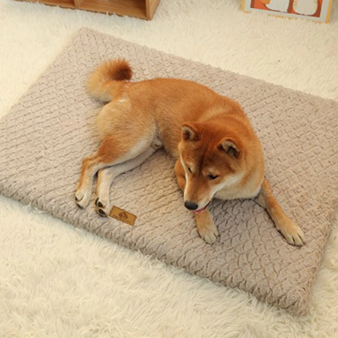 شتاء دافئ كلب صغير وسادة حشوة كاملة للإزالة متوسطة سرير كلب عدم الانزلاق بيت قطة جرو وسادة قابل للغسل سرير للقطط