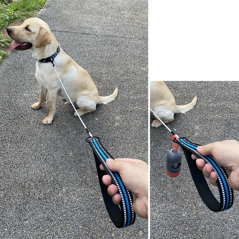 Anti-Bite Bite-Resistant Steel Wire Dog Leash Medium and Large Dog Samoyed Golden Retriever Dog Leash 1.2 Meter