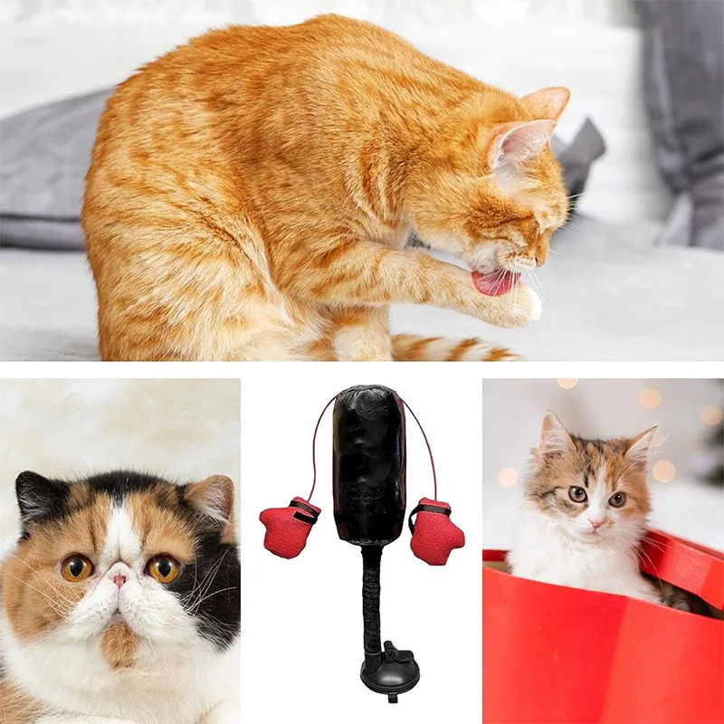 Thumbnail 2 - #32 Interactive Cat Toys Comparison Guide