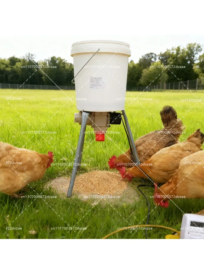 Automatic Chicken Feeder with Timer, Poultry Feeding Schedule Dispenser for Hens