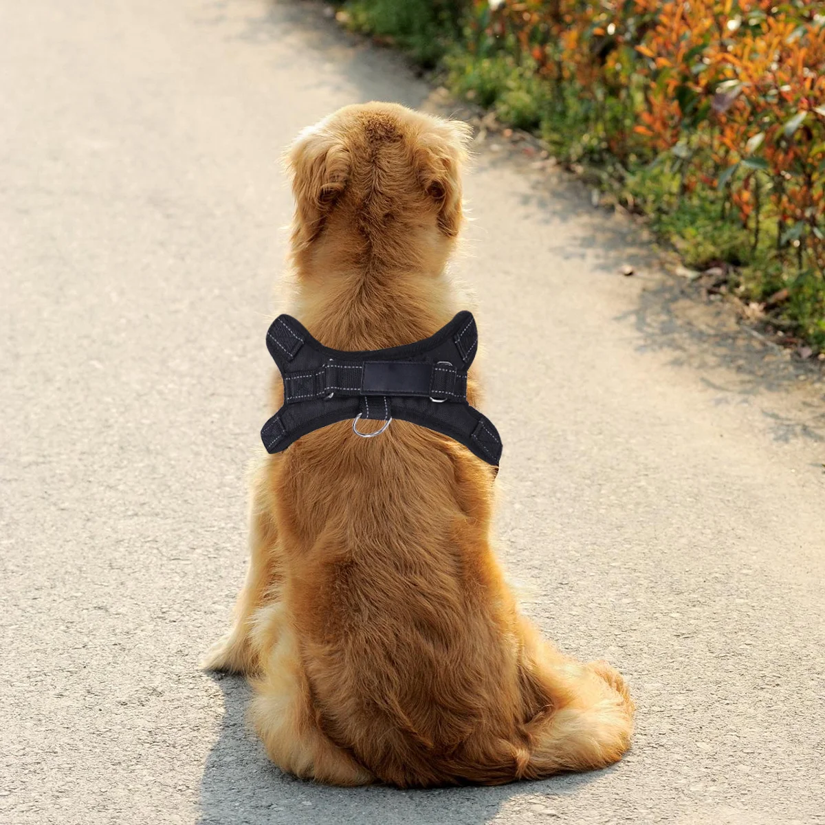 

Black Oxford Cloth Dog Harness Saddle Style Size S Comfortable Puppy Medium Large Dog Harness for Running Walking