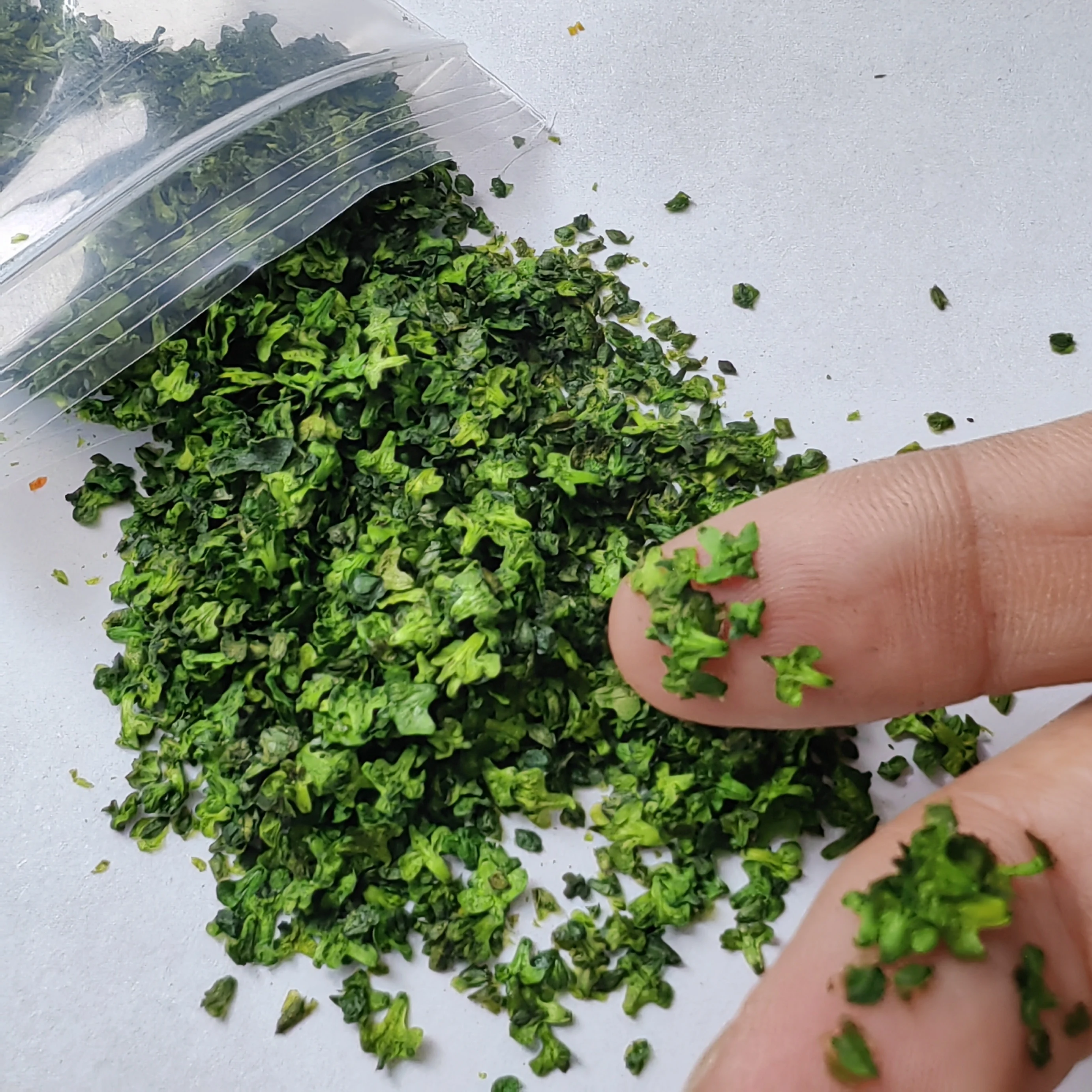 33ML Miniatura de Hojas Caídas - Bonsai Garden Layout reseña y precio