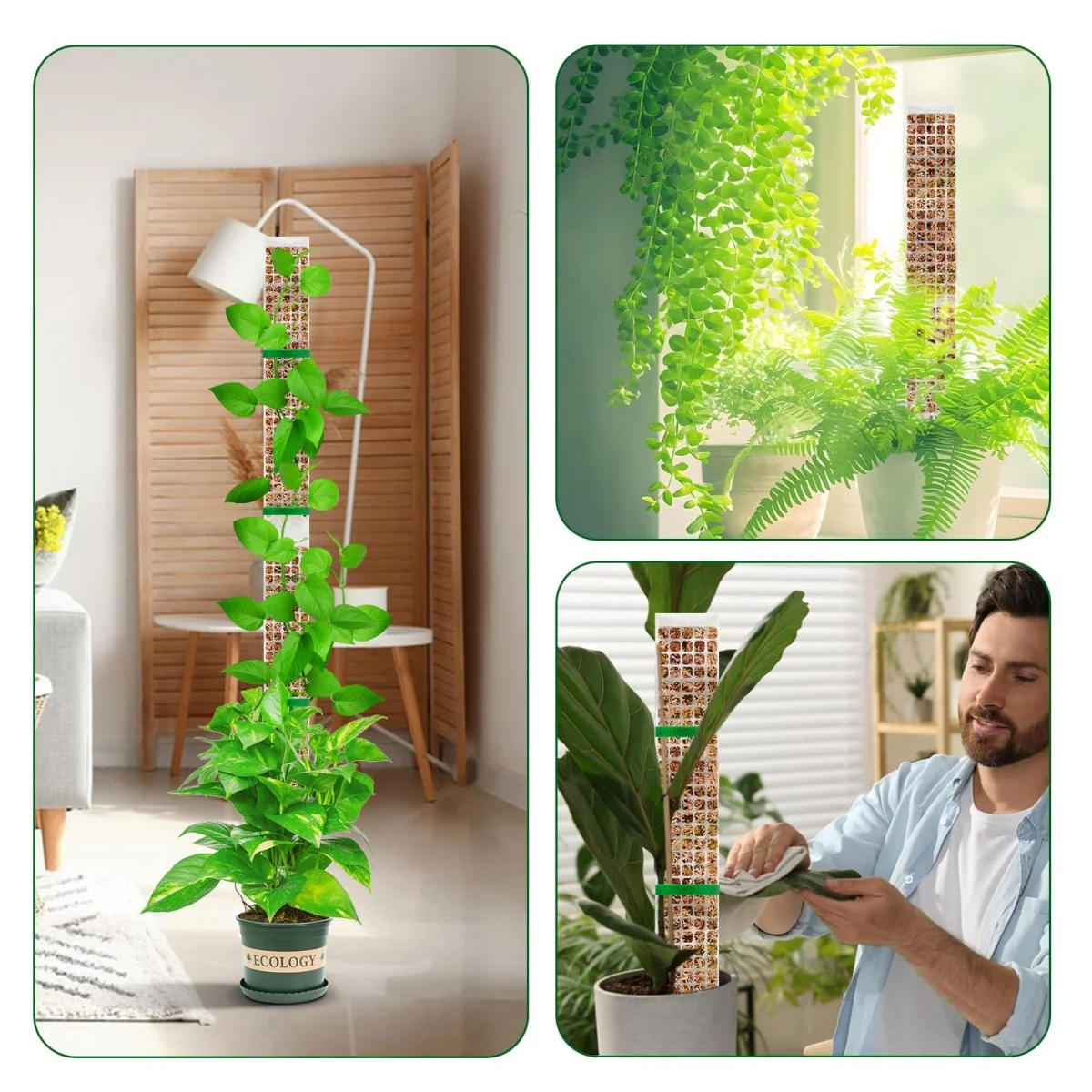 Stapelbare Kunststoff-Moosstange für Monstera-Pflanzen, Kletterstütze mit Pflanzband für Zimmerpflanzen wie Pothos und Philodendron – Detail 12