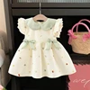 Baby Summer Dress 1