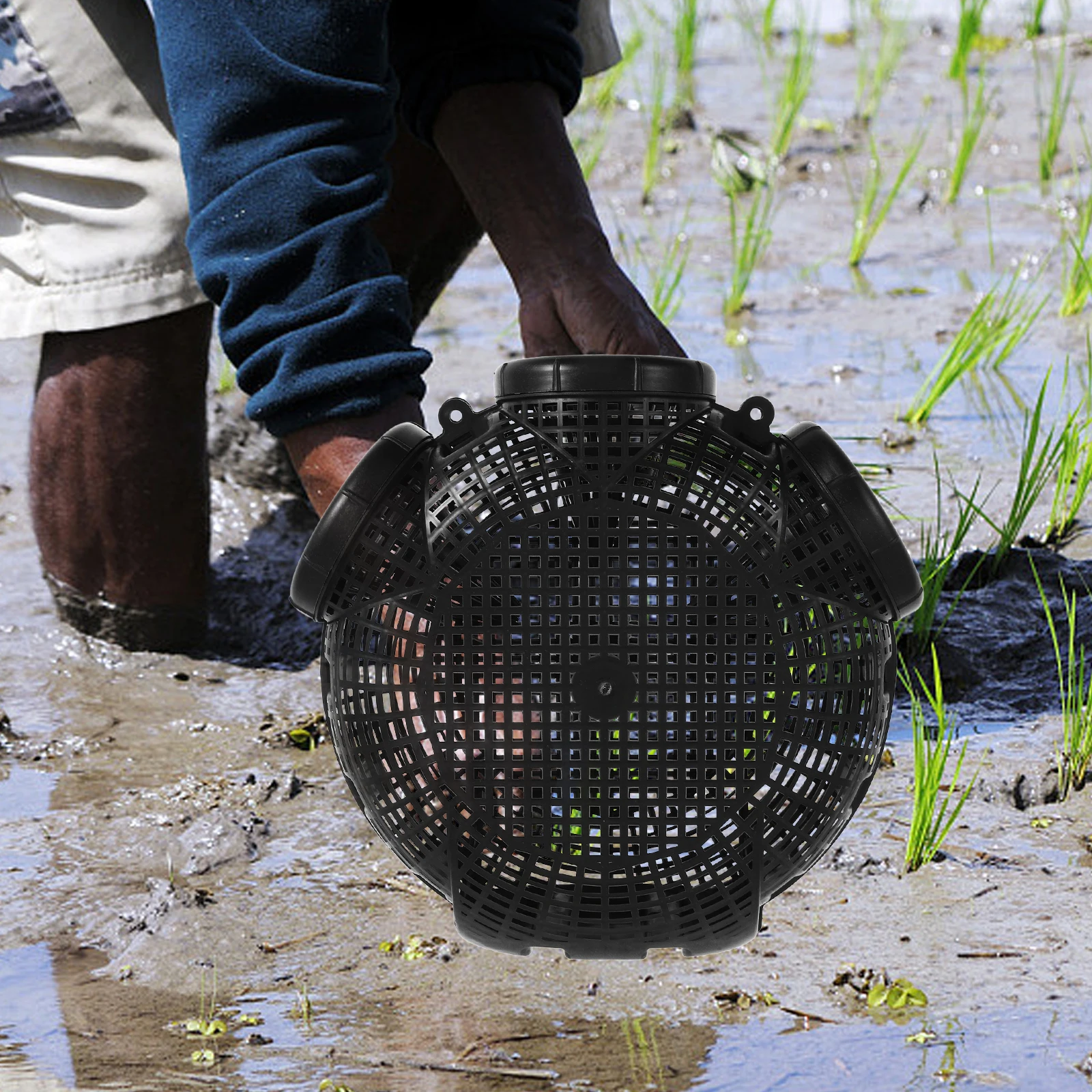 

Eel Cage Basket Shrimp Trap Durable Compact Lightweight For Blue Crabs Crab Nets Fishing Net Breathing Design