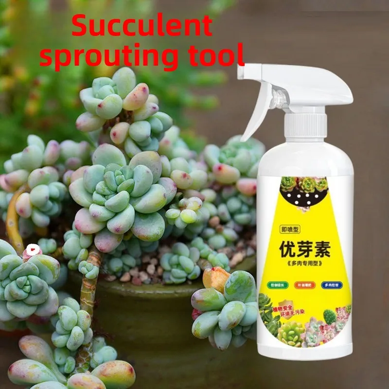 Succulent Plant Bud Promoter Spray Encourage Bud Burst And Multi Head Cultivation For Succulents