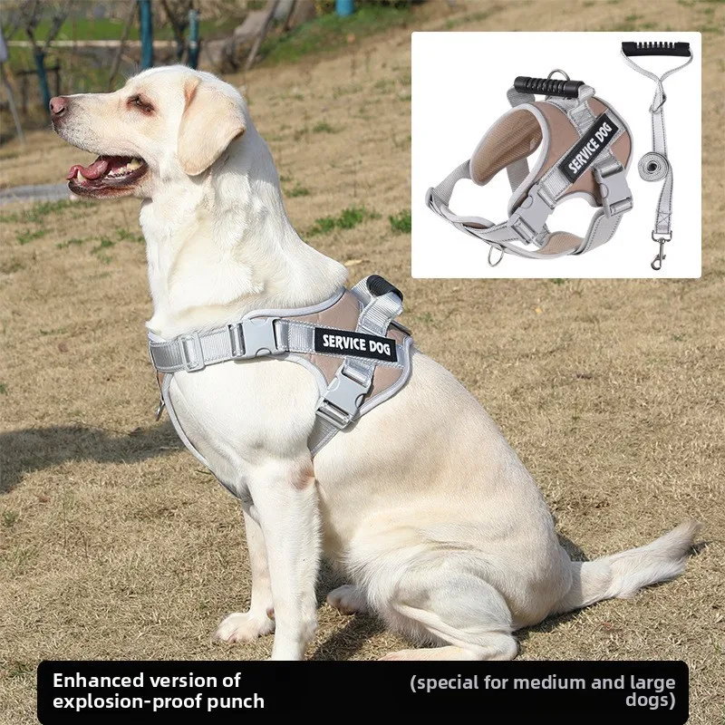 Hundeleine im Westenstil, Brustgurt für mittelgroße und große Hunde, Hundeleine, Hundekette