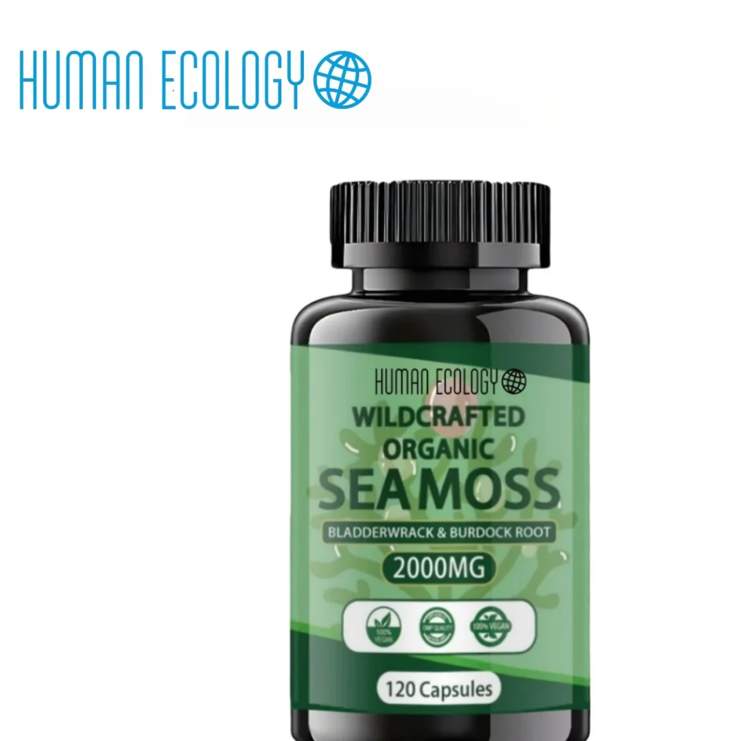 

Human Ecology Irish Seaweed Capsules Organic Blend of Seaweed Bladder Burdock Roots Premium USA Superfood