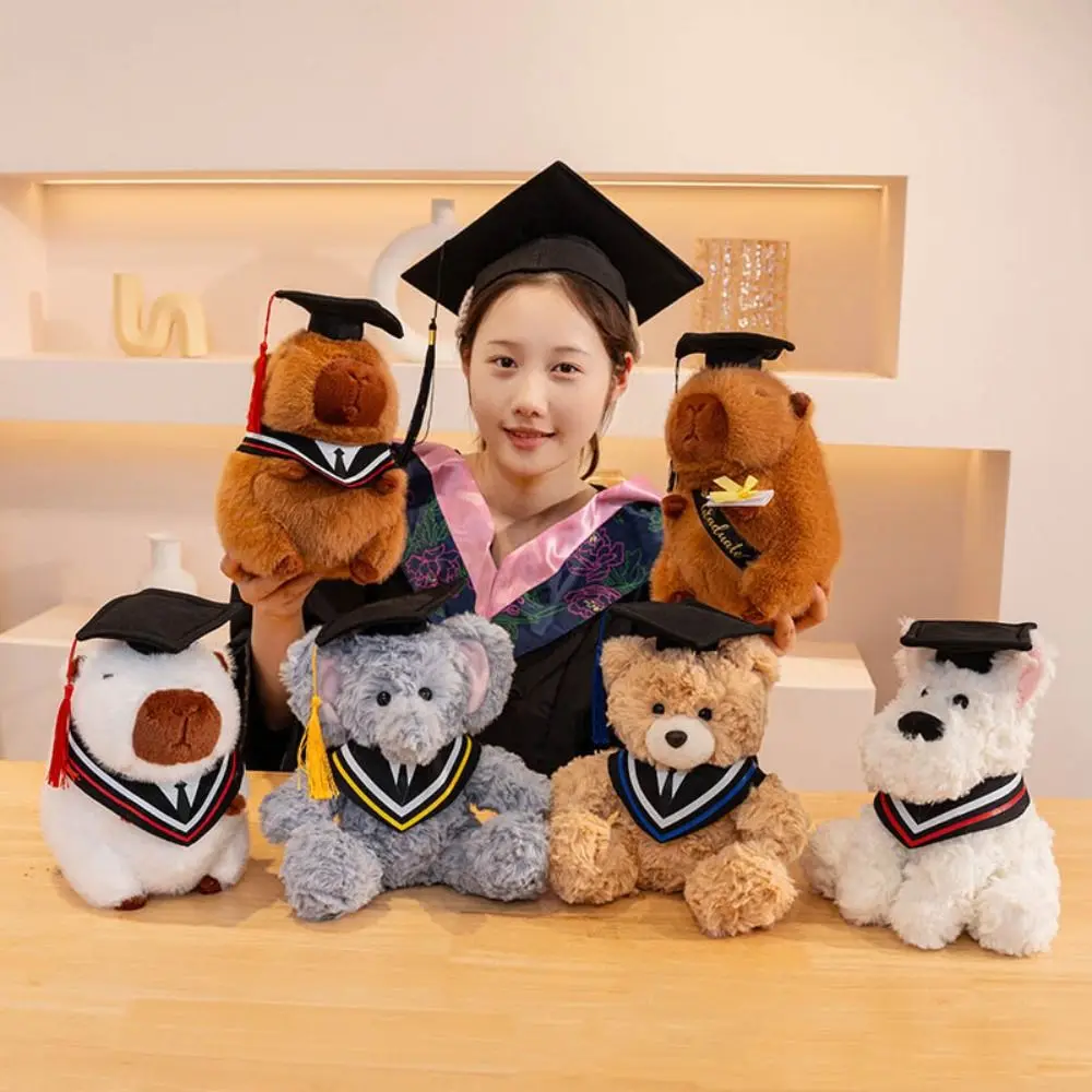 

Cute 25cm Graduation Doll Plush Bear Plush Dr. Bear Graduation Gown stuffed Sitting Bear Doll Students