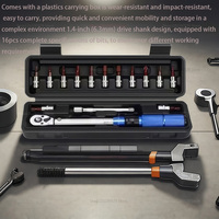 15-Piece Bicycle Torque Wrench Set 1/4\