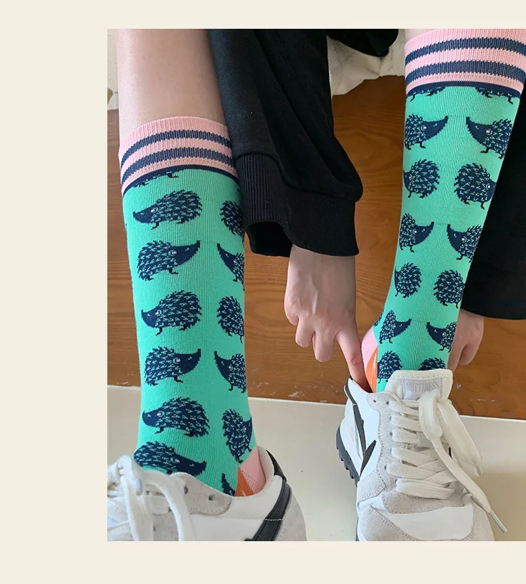 Fashion Colorful Spring Autumn Stocking Women's Socks Plant Hedgehog Slothsi Cotton Socks Personality Straight Trendy Socks