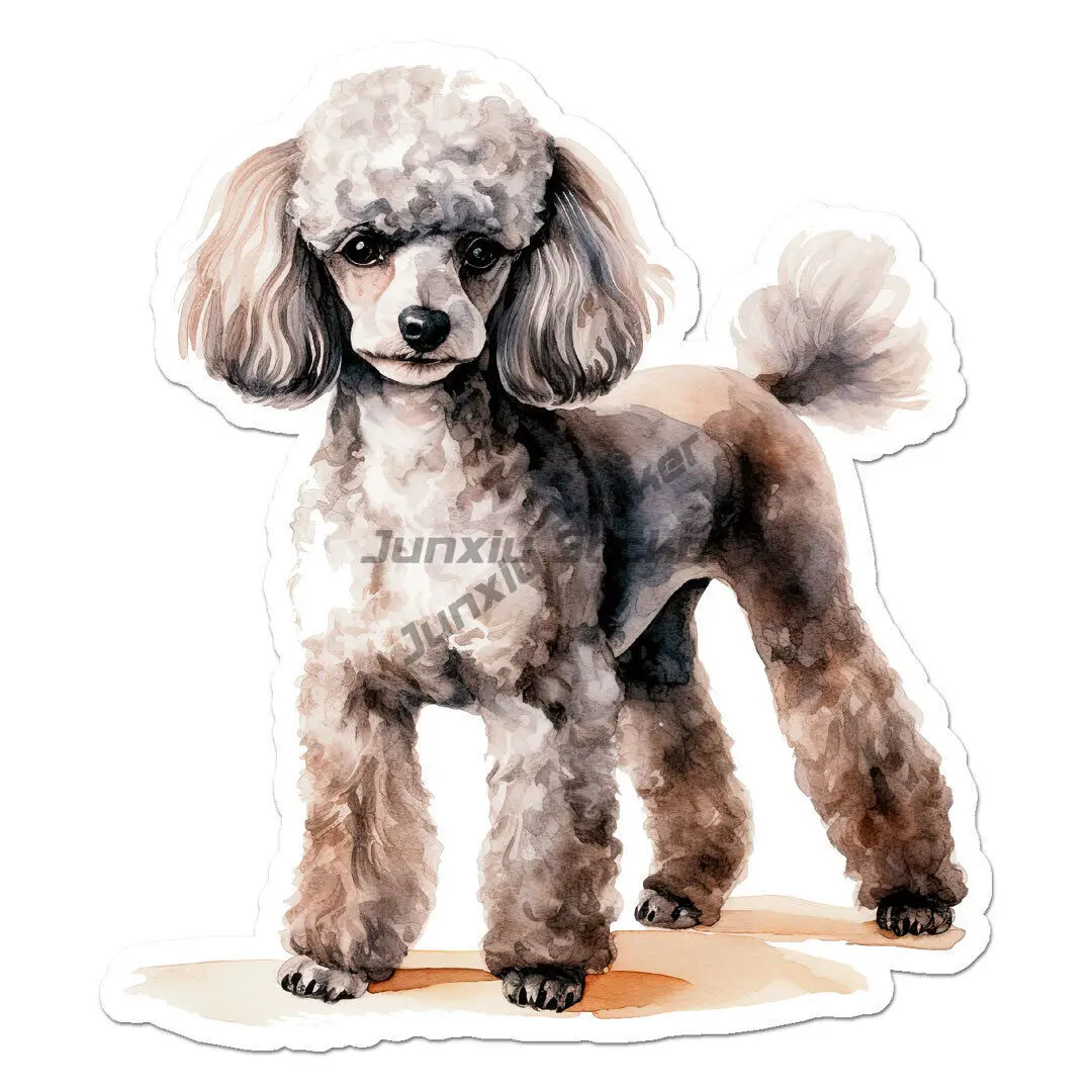 Poodle Dog Puppy Vinyl Decal Sticker  for Motorcycle Supplies Home Appliance Anime Electric Devices Decor Robot