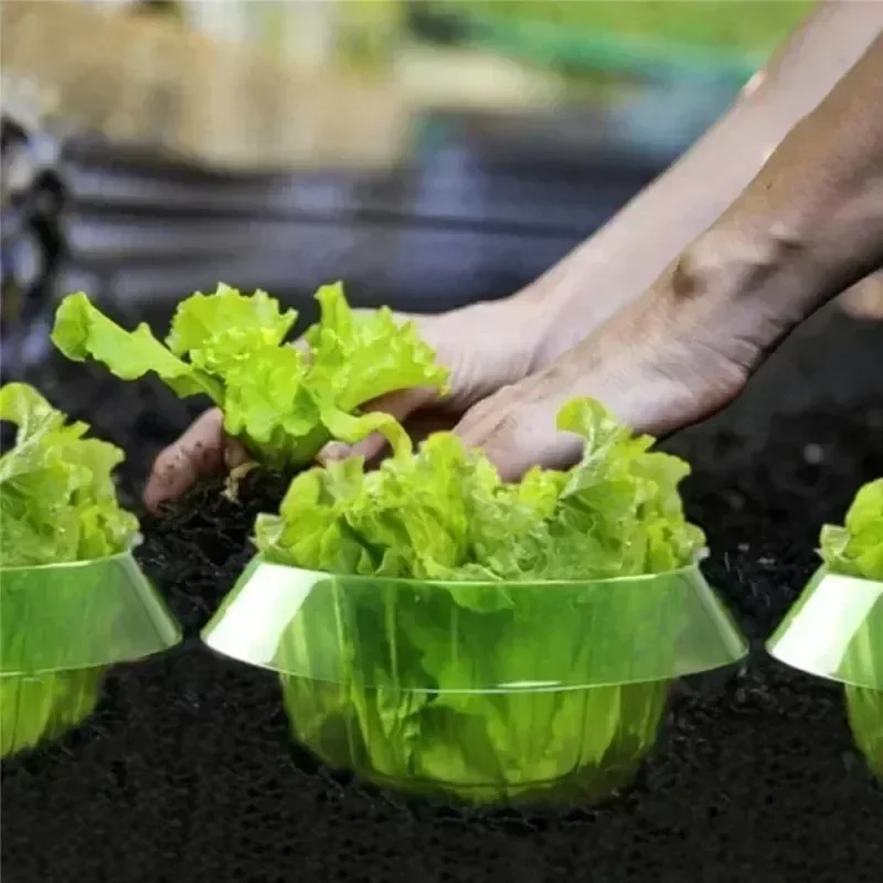 Plants Slug Protection Rings Vegetables Cover Plant Snail Collar Guard Green Planter Flower Pot Pest Control Trapper Garden Tool - view 3