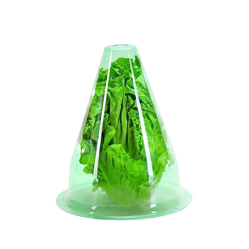 

12pcs Plant Cloches For Winter Frost Protection Reusable Plastic Covers Garden Cloches For Plants Outdoor Plant Protectors