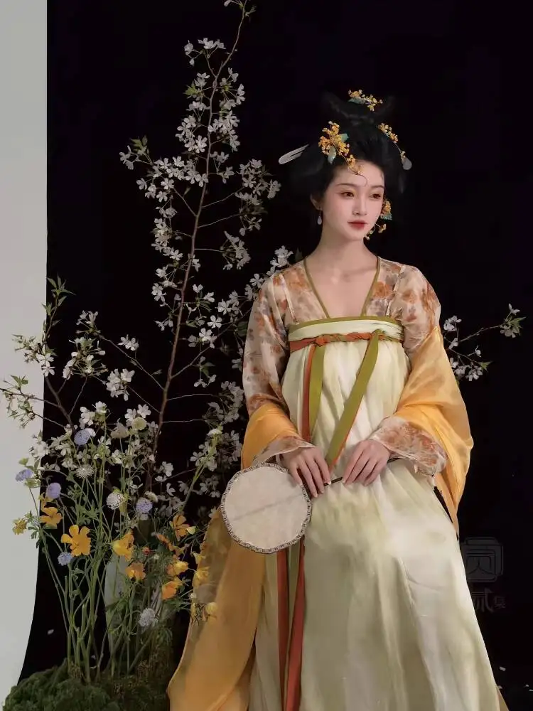 Women in Hanfu Tang Dynasty Printed Fairy Cheongsam One-Piece Chest-Length Skirt Shawl Spring Summer Cosplay Costume Halloween