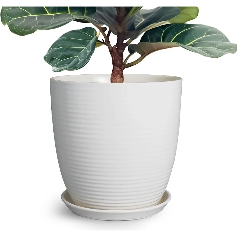 List of Top 5 Best decor in 2022