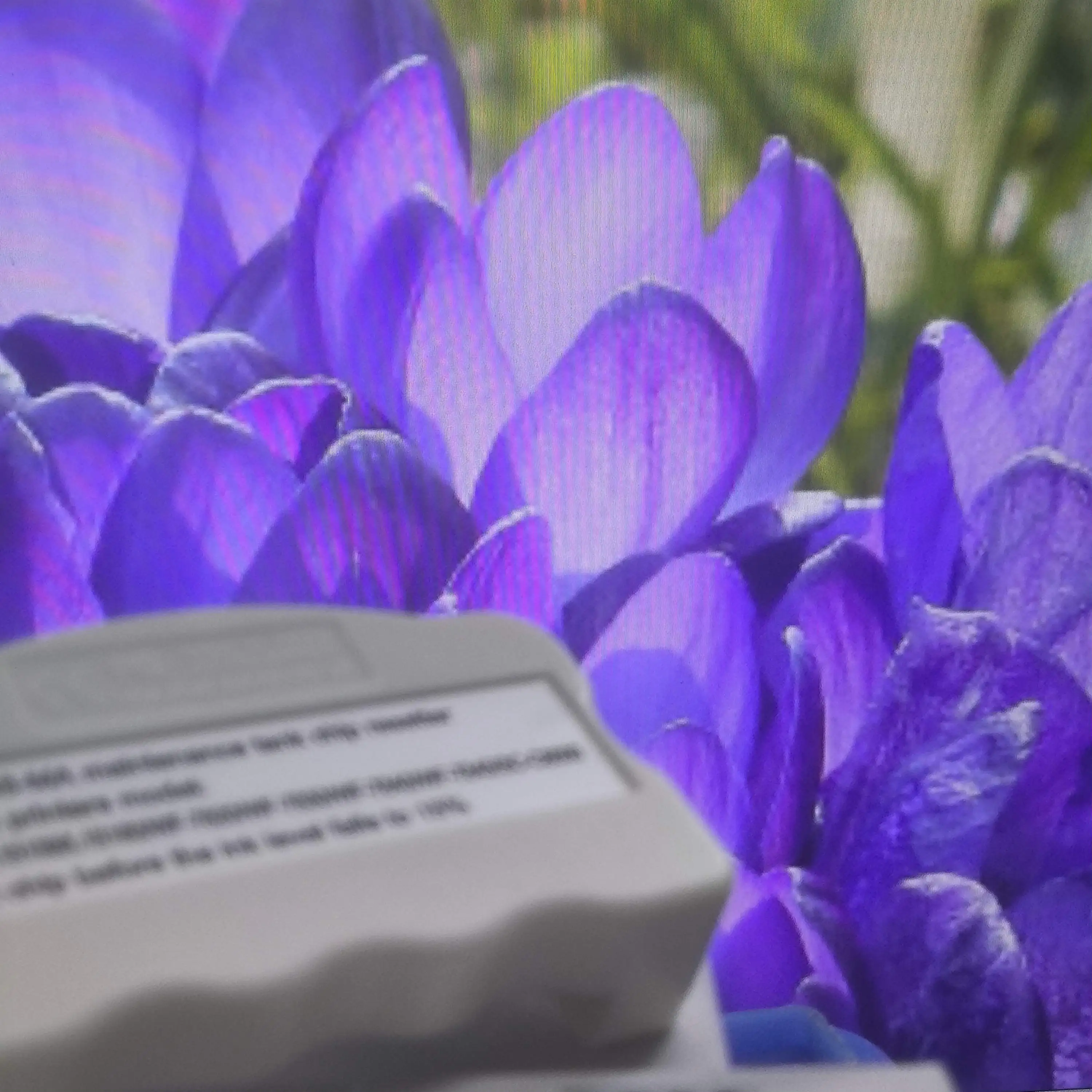 

C9345 C12C93459 Сброс чипа резервуара для обслуживания для Epson ET-8550 ET-8500 ET-16000 L8050 L15158 L15168 L15150 L15160 6558 c8000