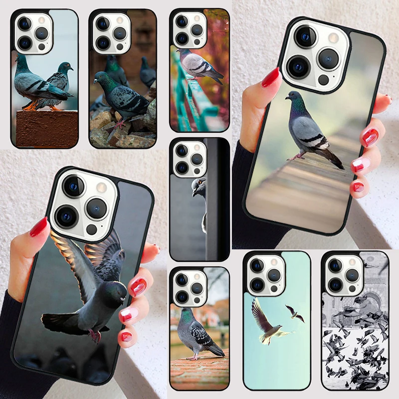 Pigeons Collage cover For iPhone 15 16 13 12 11 14 Pro Max Mini Max SE 2020 7 8 6S Plus Phone Case