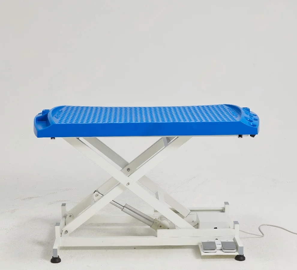 YM-D001GS Electric Lifting Pet Grooming Table With Plastic Top And Stainless Steel Arm, Export Version